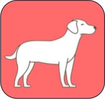 Tindog